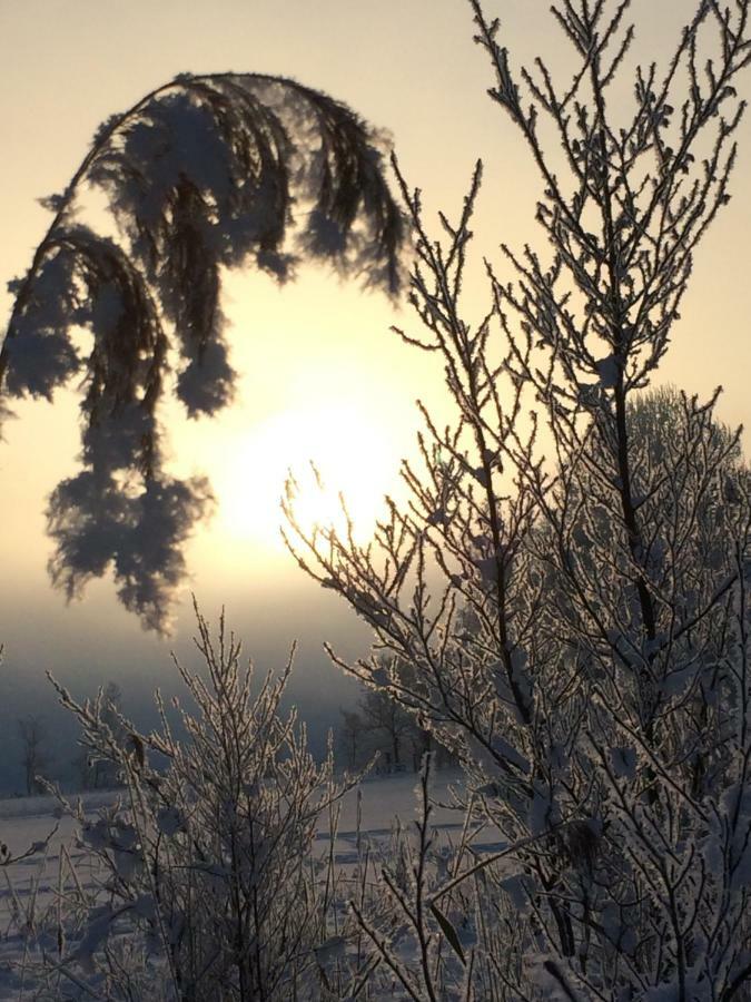 필즈모스 Zur Lieben Sonne 아파트 외부 사진